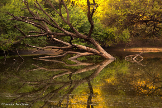 929226 (a): :2800x1860